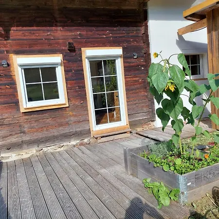 Linus Mit Bergblick Und W-lan