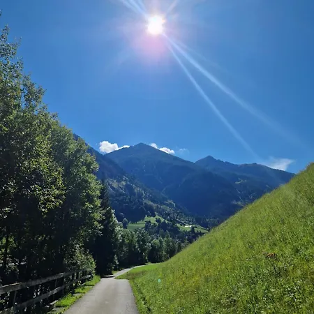 Linus Mit Bergblick Und W-lan
