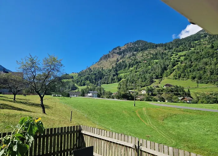 Linus Mit Bergblick Und W-lan