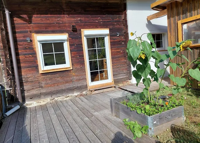 Linus Mit Bergblick Und W-lan